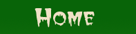 Return to the home page